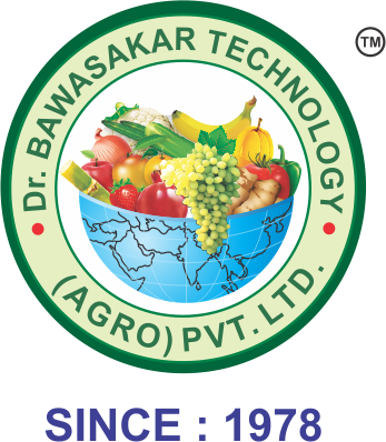 Bawaskar Technology