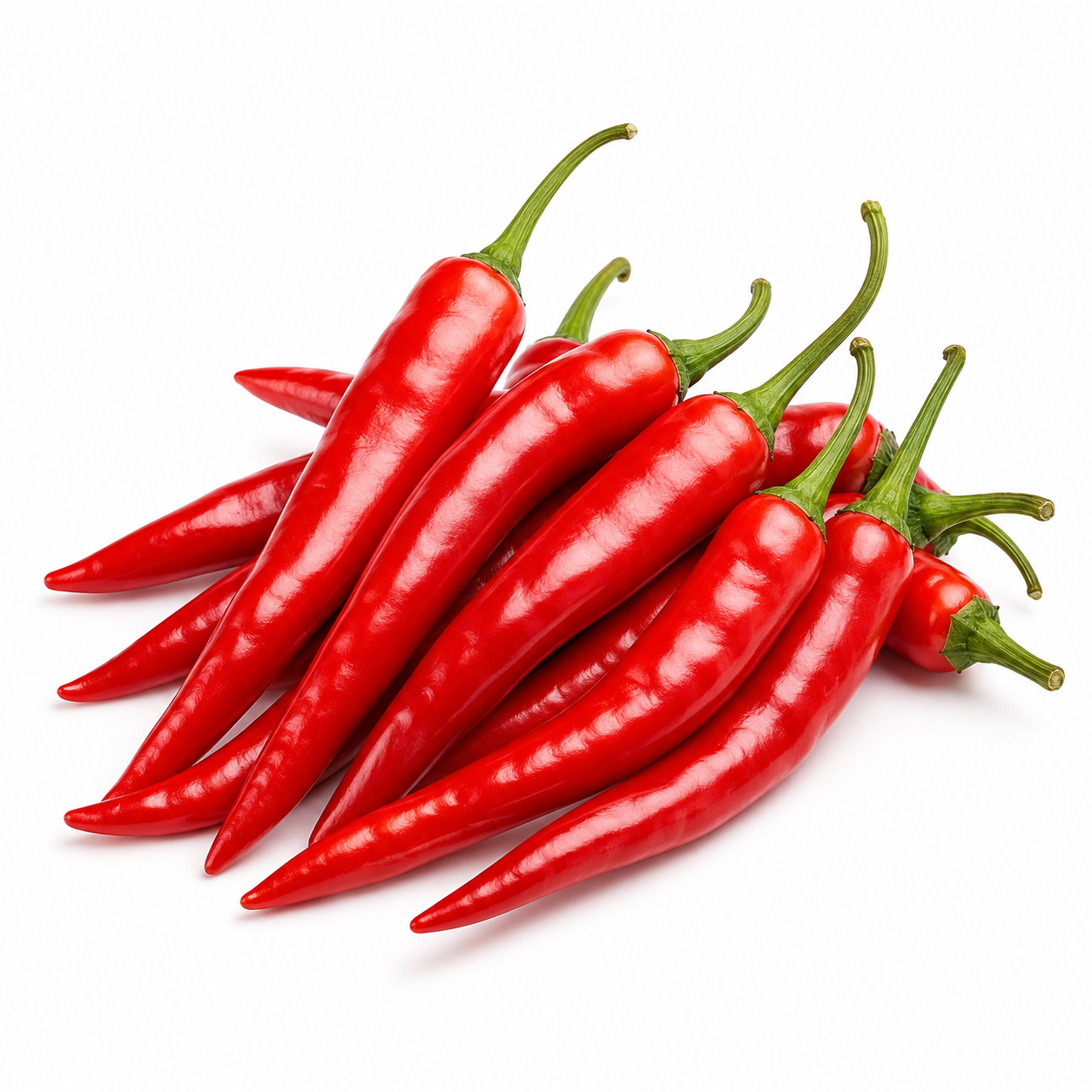 Hybrid Chilli Seeds